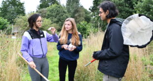 ‘Young Darwin scholars Applications open for ‘Young Darwin’ environmental scholarships 2022