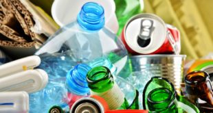 1 1 2 Make your school greener with these 8 tips