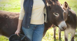 20201008 Kate Humble backs school trips TV presenters give their support to school trips