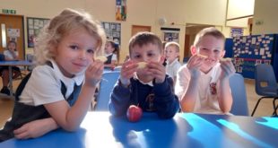 fcoe Apples amaze Cambridgeshire & Lincolnshire school children