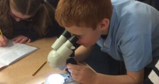 FT055 Science Quality Mark awarded to primary academy in West Yorkshire