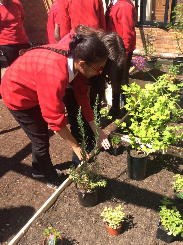Garden Old Trafford Community Academy creates memorial meadow in memory of victims of the Manchester Arena attack