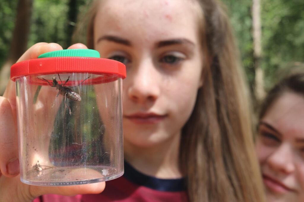 Grants for Schools New funding announced to ensure pupils don’t miss out on educational school trips