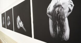 Kirsty Anne Wilsons Photography Exhibition Exhibition by emerging Wirral talent opens at Williamson Art Gallery