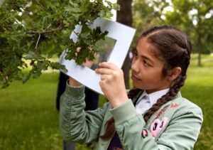 nhm Brand new Natural History Museum schools programme to create thousands of young urban nature champions