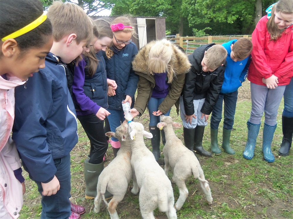 Shirley Manors visit to organic farm Swillington 2 web Into the great outdoors