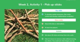 summer challenge sticks pic Whizz Education launches maths Summer Learning Challenge!